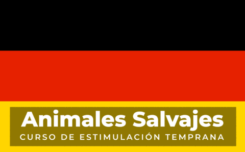 Curso 5 Introducción alemán para bebés de 0 a 3 años de edad