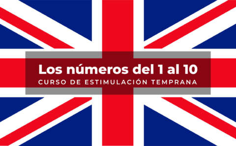 Idiomas 8 – Numbers 1-10 (Inglés)