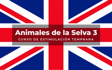 Idiomas 7 – The wild animals III (Ingles)