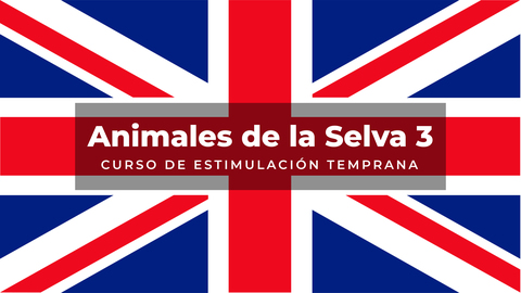 Idiomas 7 – The wild animals III (Ingles)